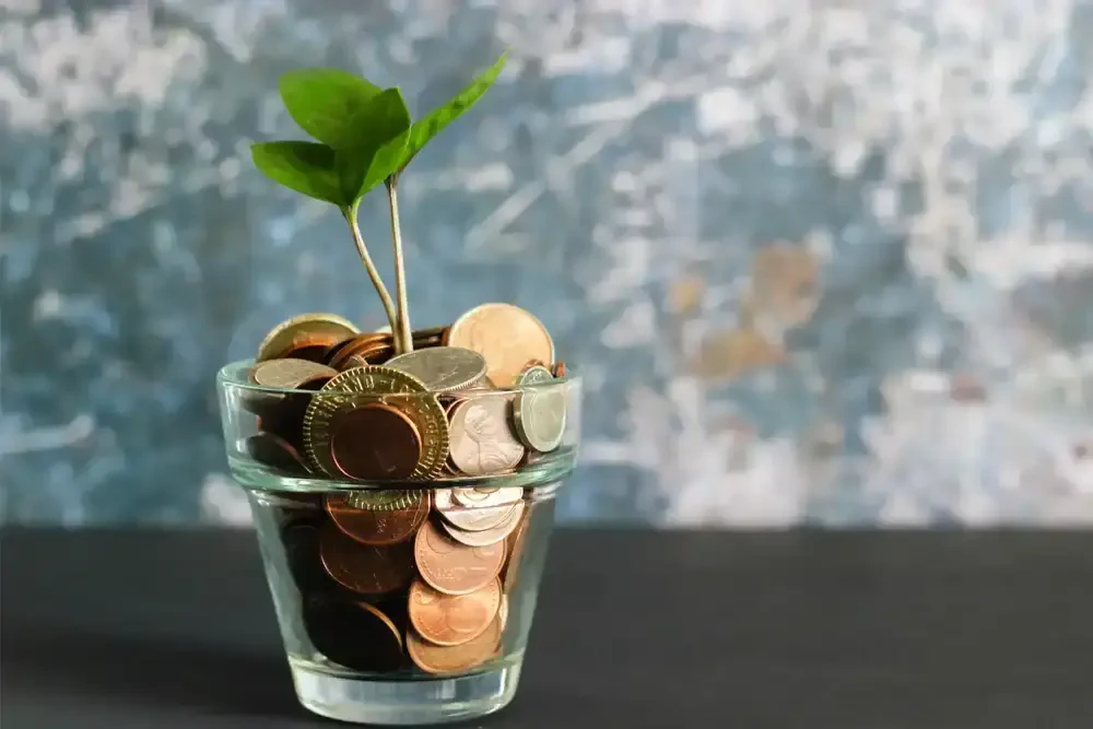 Vergeet de cijfers: Triodos presteert beter dan u denkt
