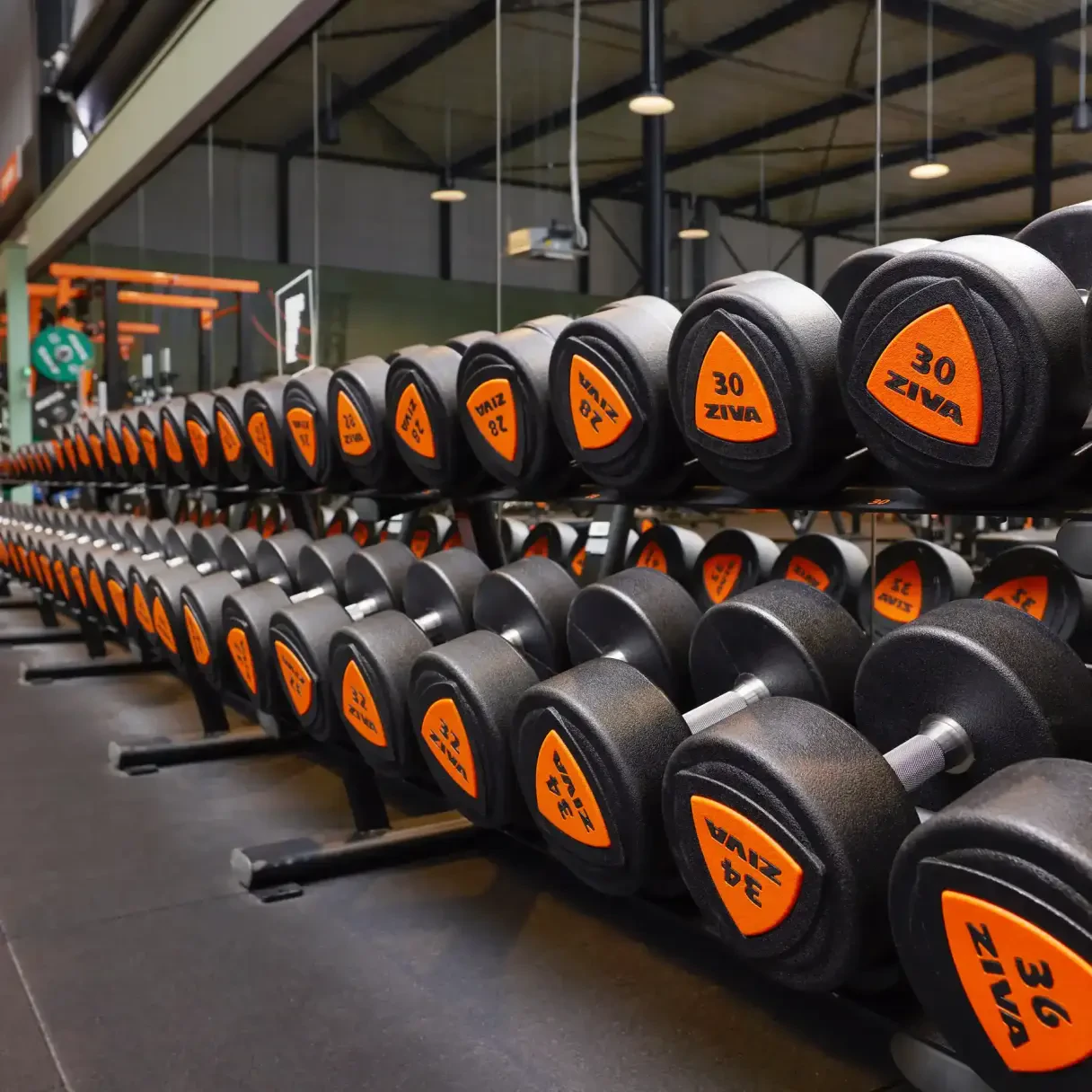 De weg naar €30 ligt open voor Basic-Fit